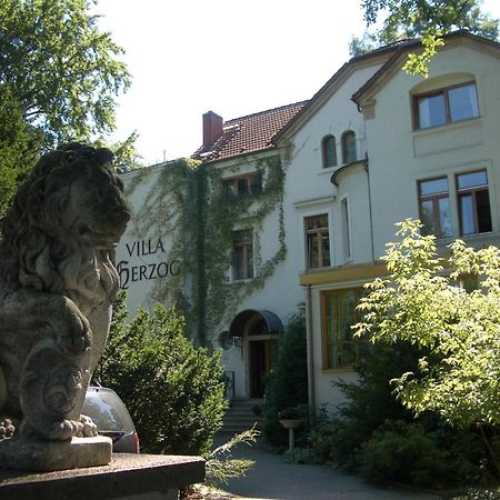 Hotel Villa Herzog Dresden Buitenkant foto