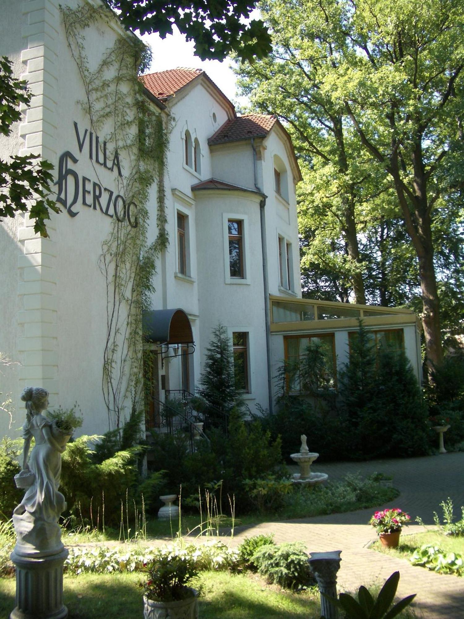 Hotel Villa Herzog Dresden Buitenkant foto