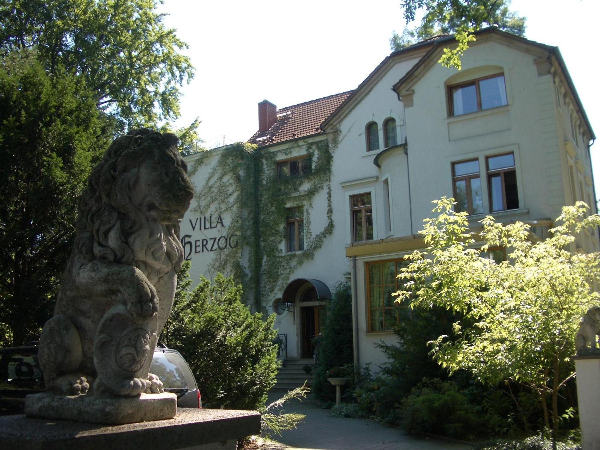 Hotel Villa Herzog Dresden Buitenkant foto