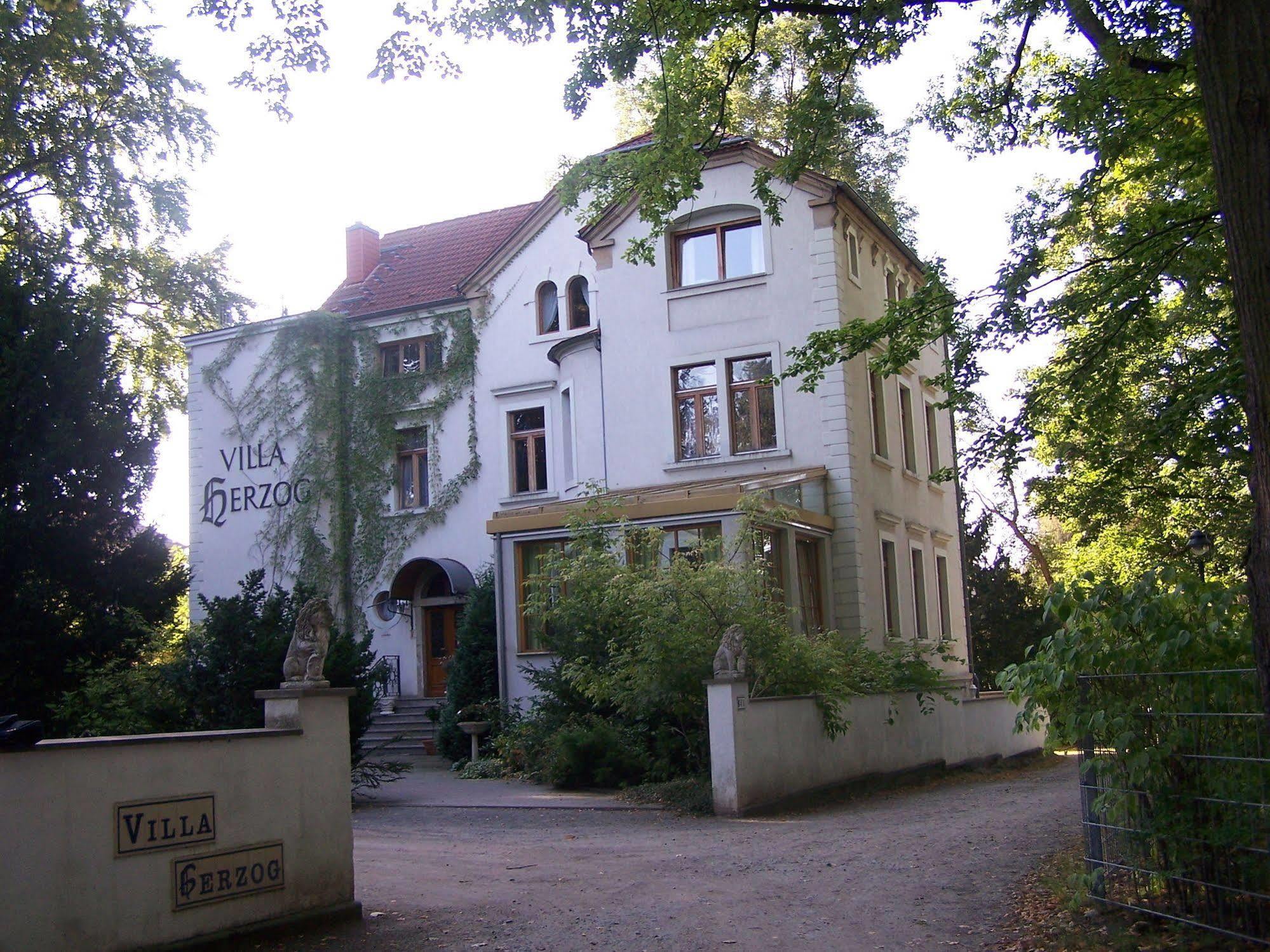 Hotel Villa Herzog Dresden Buitenkant foto