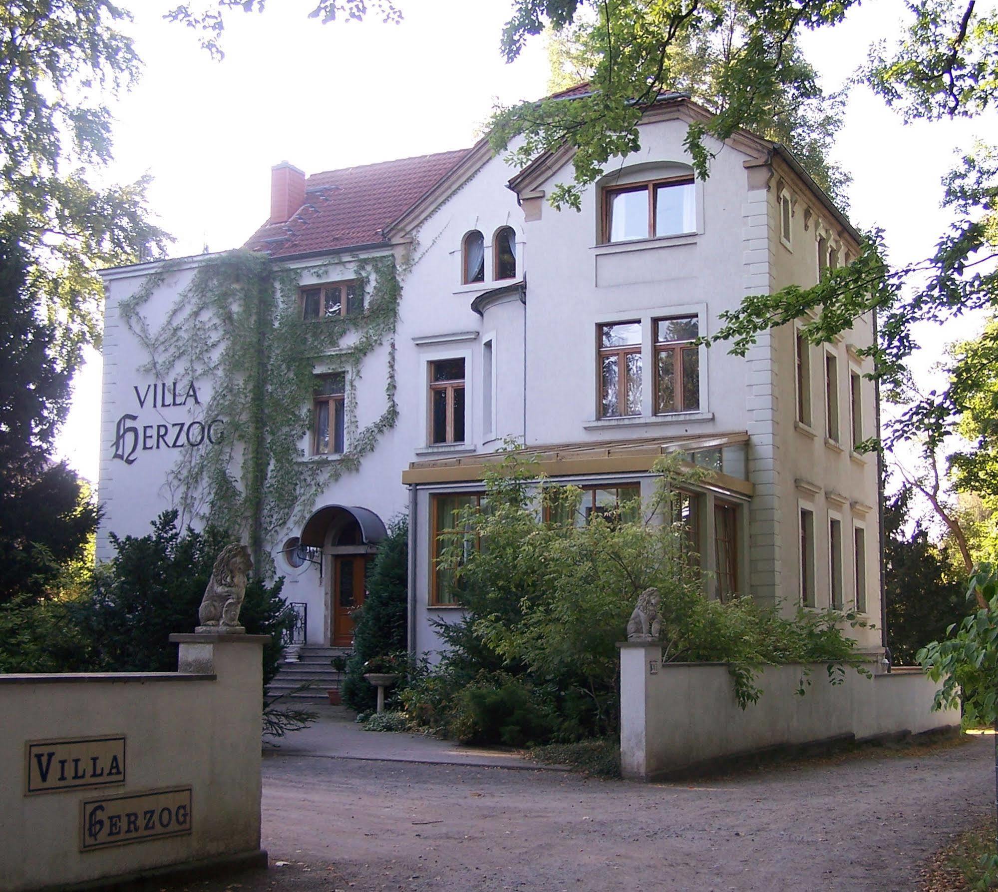 Hotel Villa Herzog Dresden Buitenkant foto